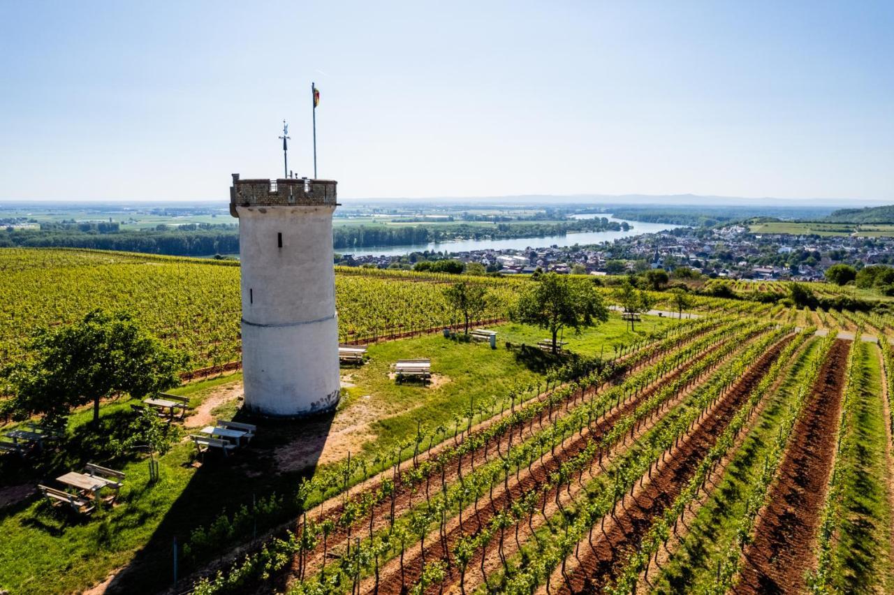 Best Western Wein- Und Parkhotel Nierstein Luaran gambar