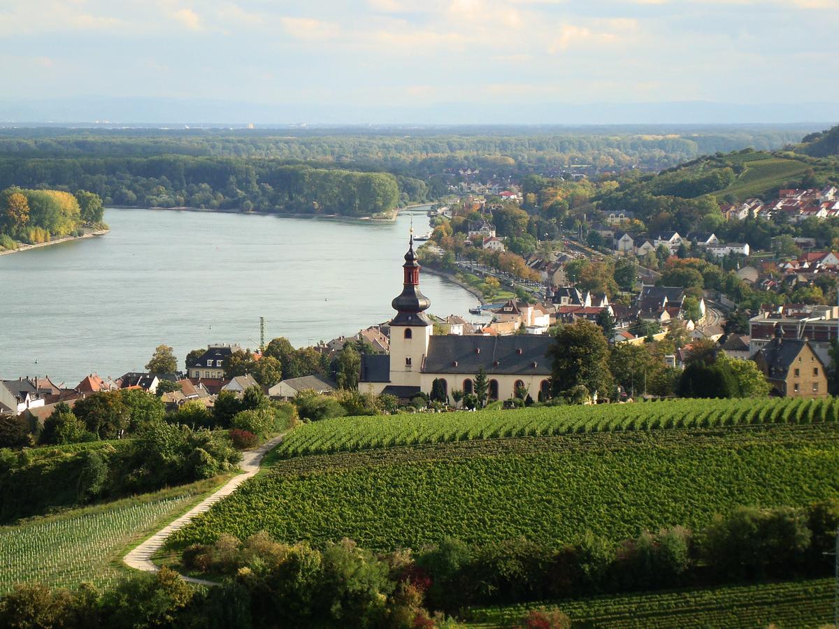 Best Western Wein- Und Parkhotel Nierstein Luaran gambar